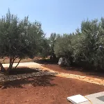 Daire Casa Adragna